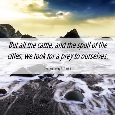 Picture 06 - Deuteronomy 3:7 WEB - But all the cattle, and the spoil of the cities, - Bible Verse Picture