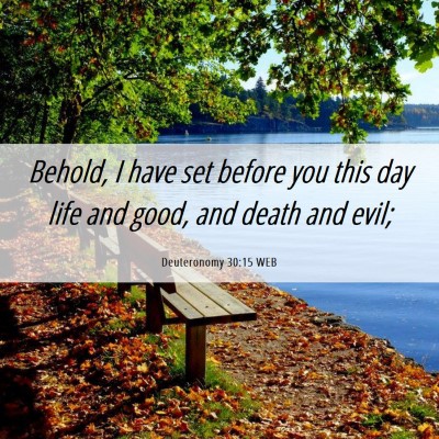 Picture 06 - Deuteronomy 30:15 WEB - Behold, I have set before you this day life and - Bible Verse Picture