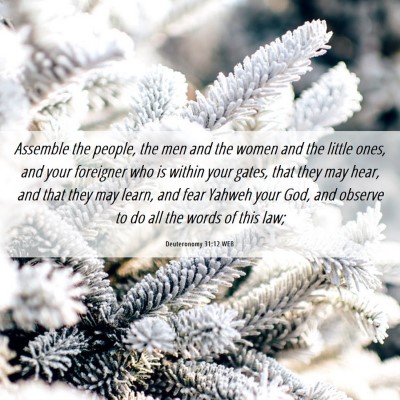 Picture 06 - Deuteronomy 31:12 WEB - Assemble the people, the men and the women and - Bible Verse Picture