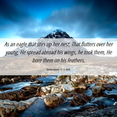 Picture 06 - Deuteronomy 32:11 WEB - As an eagle that stirs up her nest, That flutters - Bible Verse Picture