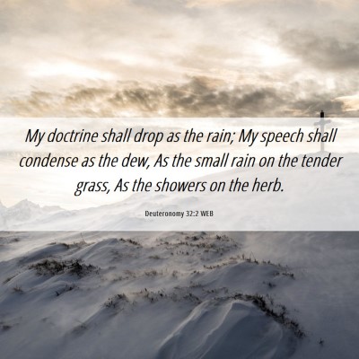 Picture 06 - Deuteronomy 32:2 WEB - My doctrine shall drop as the rain; My speech - Bible Verse Picture