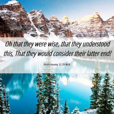 Picture 06 - Deuteronomy 32:29 WEB - Oh that they were wise, that they understood - Bible Verse Picture
