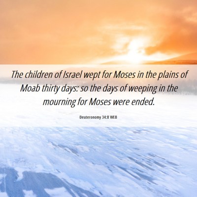 Picture 06 - Deuteronomy 34:8 WEB - The children of Israel wept for Moses in the - Bible Verse Picture
