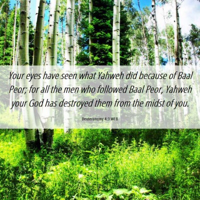 Picture 06 - Deuteronomy 4:3 WEB - Your eyes have seen what Yahweh did because of - Bible Verse Picture