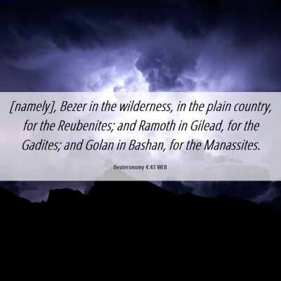 Picture 06 - Deuteronomy 4:43 WEB - [namely], Bezer in the wilderness, in the plain - Bible Verse Picture