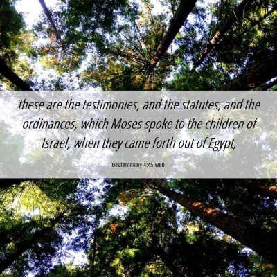 Picture 06 - Deuteronomy 4:45 WEB - these are the testimonies, and the statutes, and - Bible Verse Picture