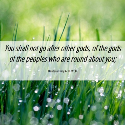 Picture 06 - Deuteronomy 6:14 WEB - You shall not go after other gods, of the gods of - Bible Verse Picture