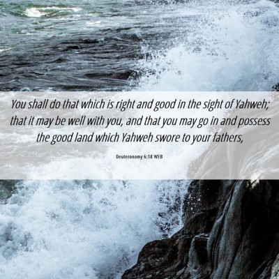 Picture 06 - Deuteronomy 6:18 WEB - You shall do that which is right and good in the - Bible Verse Picture