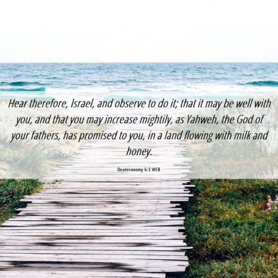 Picture 06 - Deuteronomy 6:3 WEB - Hear therefore, Israel, and observe to do it; - Bible Verse Picture