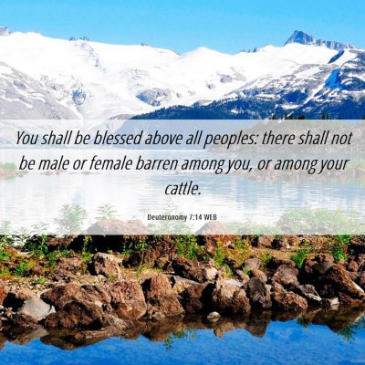 Picture 06 - Deuteronomy 7:14 WEB - You shall be blessed above all peoples: there - Bible Verse Picture