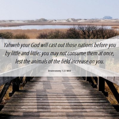 Picture 06 - Deuteronomy 7:22 WEB - Yahweh your God will cast out those nations - Bible Verse Picture