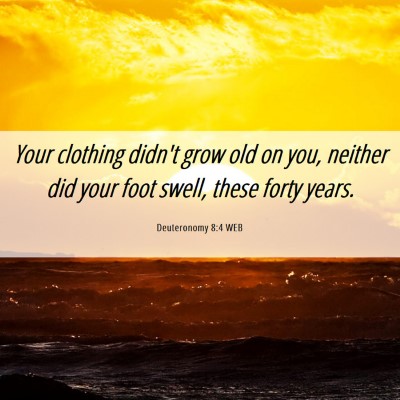 Picture 06 - Deuteronomy 8:4 WEB - Your clothing didn't grow old on you, neither did - Bible Verse Picture