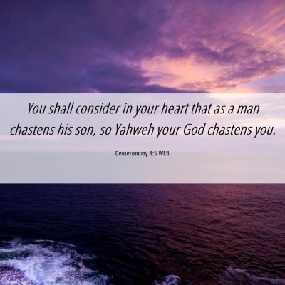 Picture 06 - Deuteronomy 8:5 WEB - You shall consider in your heart that as a man - Bible Verse Picture