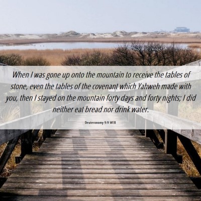 Picture 06 - Deuteronomy 9:9 WEB - When I was gone up onto the mountain to receive - Bible Verse Picture
