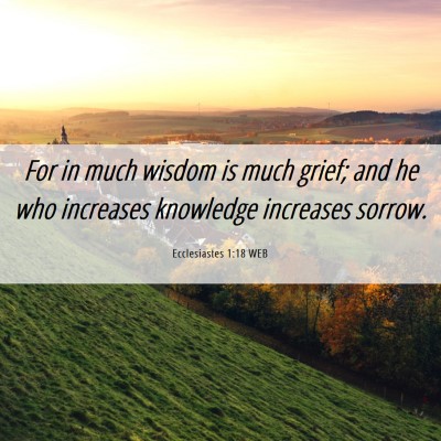 Picture 06 - Ecclesiastes 1:18 WEB - For in much wisdom is much grief; and he who - Bible Verse Picture
