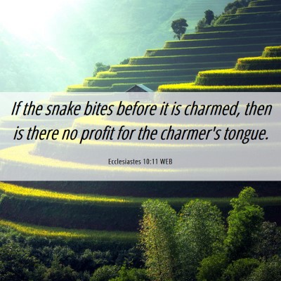 Picture 06 - Ecclesiastes 10:11 WEB - If the snake bites before it is charmed, then is - Bible Verse Picture