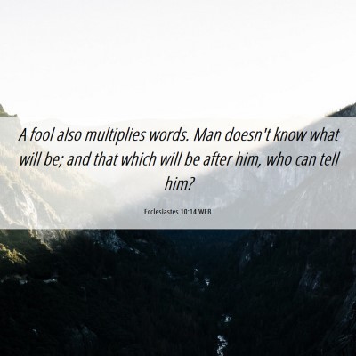 Picture 06 - Ecclesiastes 10:14 WEB - A fool also multiplies words. Man doesn't know - Bible Verse Picture