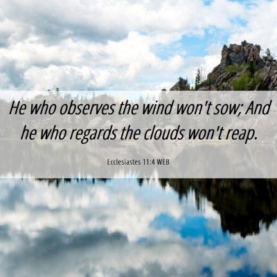 Picture 06 - Ecclesiastes 11:4 WEB - He who observes the wind won't sow; And he who - Bible Verse Picture