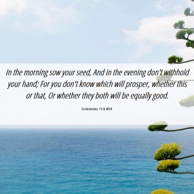 Picture 06 - Ecclesiastes 11:6 WEB - In the morning sow your seed, And in the evening - Bible Verse Picture