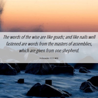 Picture 06 - Ecclesiastes 12:11 WEB - The words of the wise are like goads; and like - Bible Verse Picture