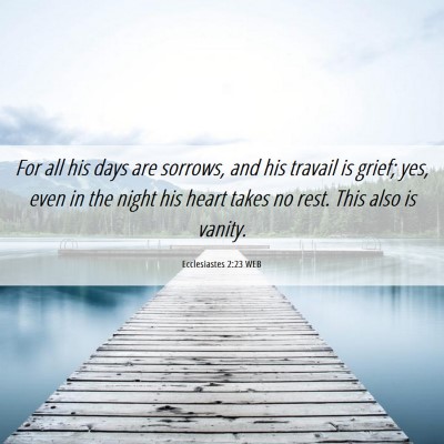 Picture 06 - Ecclesiastes 2:23 WEB - For all his days are sorrows, and his travail is - Bible Verse Picture