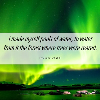 Picture 06 - Ecclesiastes 2:6 WEB - I made myself pools of water, to water from it - Bible Verse Picture