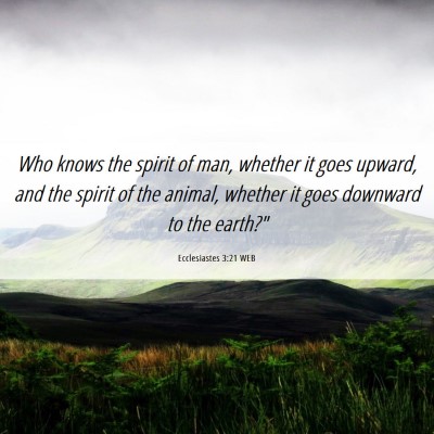 Picture 06 - Ecclesiastes 3:21 WEB - Who knows the spirit of man, whether it goes - Bible Verse Picture
