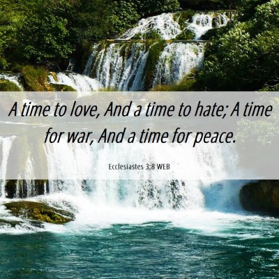 Picture 06 - Ecclesiastes 3:8 WEB - A time to love, And a time to hate; A time for - Bible Verse Picture