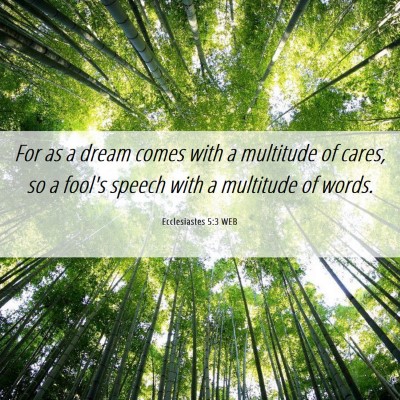 Picture 06 - Ecclesiastes 5:3 WEB - For as a dream comes with a multitude of cares, - Bible Verse Picture