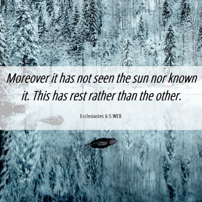 Picture 06 - Ecclesiastes 6:5 WEB - Moreover it has not seen the sun nor known it. - Bible Verse Picture