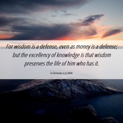 Picture 06 - Ecclesiastes 7:12 WEB - For wisdom is a defense, even as money is a - Bible Verse Picture