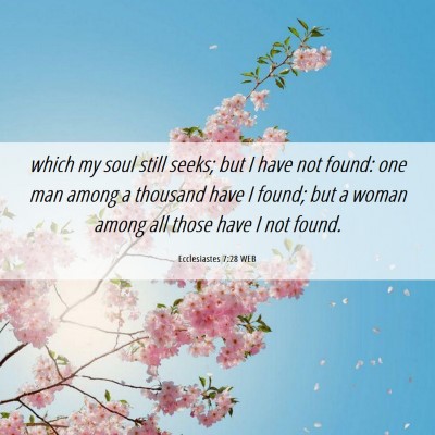 Picture 06 - Ecclesiastes 7:28 WEB - which my soul still seeks; but I have not found: - Bible Verse Picture