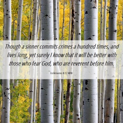 Picture 06 - Ecclesiastes 8:12 WEB - Though a sinner commits crimes a hundred times, - Bible Verse Picture