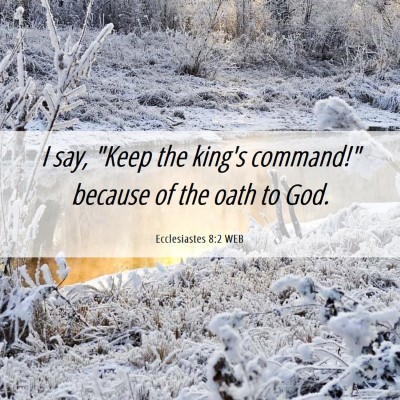 Picture 06 - Ecclesiastes 8:2 WEB - I say, 
