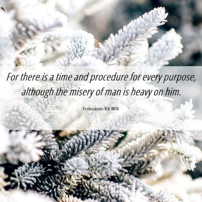 Picture 06 - Ecclesiastes 8:6 WEB - For there is a time and procedure for every - Bible Verse Picture