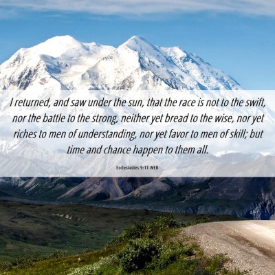 Picture 06 - Ecclesiastes 9:11 WEB - I returned, and saw under the sun, that the race - Bible Verse Picture