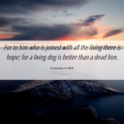 Picture 06 - Ecclesiastes 9:4 WEB - For to him who is joined with all the living - Bible Verse Picture