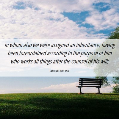 Picture 06 - Ephesians 1:11 WEB - in whom also we were assigned an inheritance, - Bible Verse Picture