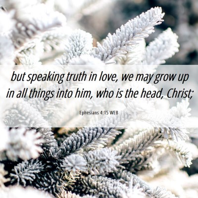 Picture 06 - Ephesians 4:15 WEB - but speaking truth in love, we may grow up in all - Bible Verse Picture