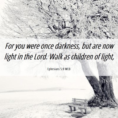 Picture 06 - Ephesians 5:8 WEB - For you were once darkness, but are now light in - Bible Verse Picture