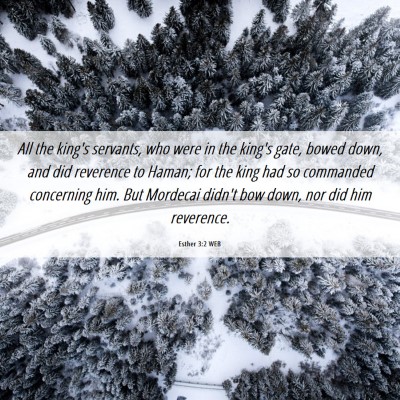 Picture 06 - Esther 3:2 WEB - All the king's servants, who were in the king's - Bible Verse Picture