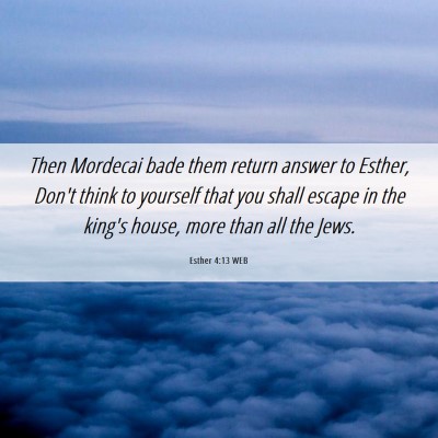 Picture 06 - Esther 4:13 WEB - Then Mordecai bade them return answer to Esther, - Bible Verse Picture