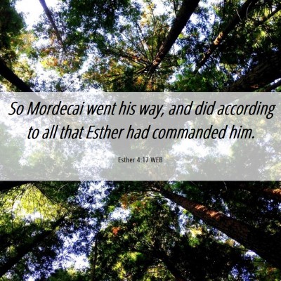 Picture 06 - Esther 4:17 WEB - So Mordecai went his way, and did according to - Bible Verse Picture