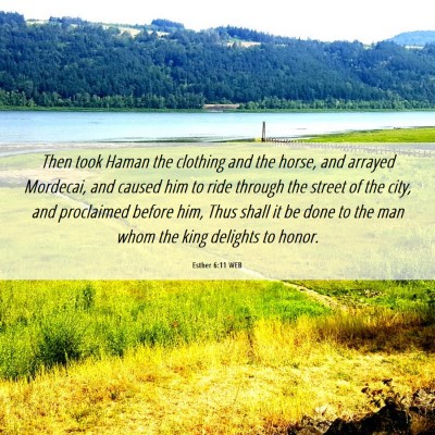 Picture 06 - Esther 6:11 WEB - Then took Haman the clothing and the horse, and - Bible Verse Picture