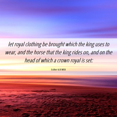 Picture 06 - Esther 6:8 WEB - let royal clothing be brought which the king uses - Bible Verse Picture