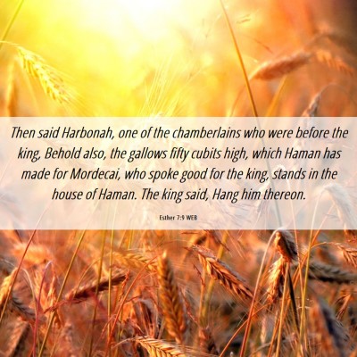 Picture 06 - Esther 7:9 WEB - Then said Harbonah, one of the chamberlains who - Bible Verse Picture