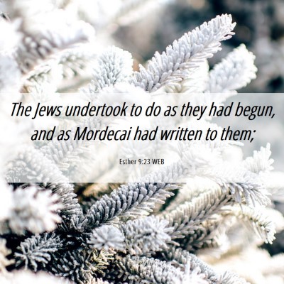 Picture 06 - Esther 9:23 WEB - The Jews undertook to do as they had begun, and - Bible Verse Picture