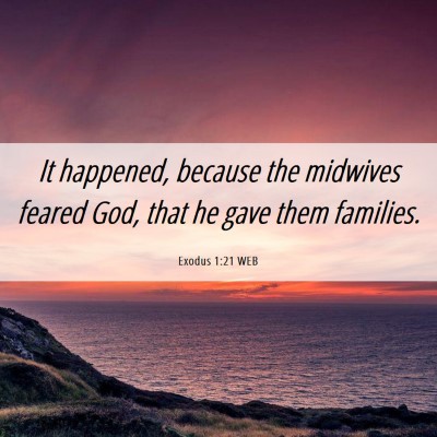 Picture 06 - Exodus 1:21 WEB - It happened, because the midwives feared God, - Bible Verse Picture
