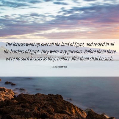 Picture 06 - Exodus 10:14 WEB - The locusts went up over all the land of Egypt, - Bible Verse Picture