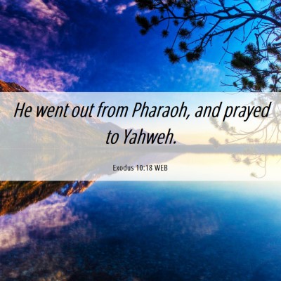 Picture 06 - Exodus 10:18 WEB - He went out from Pharaoh, and prayed to - Bible Verse Picture